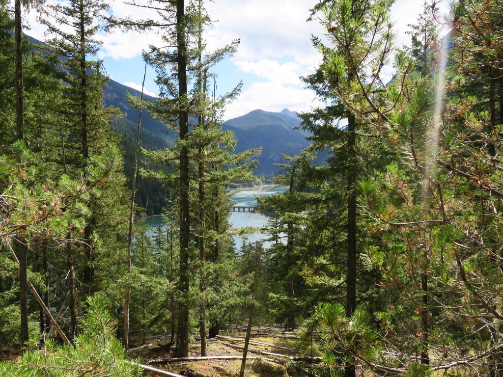 Thunder Knob Trail at Diablo Lake – Playground of the Pacific Northwest