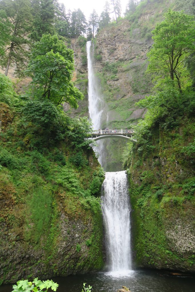 Multnomah Falls – Playground Of The Pacific Northwest